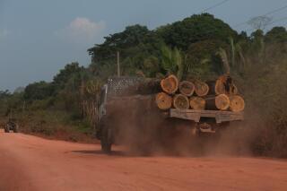 Un  camion chargé de troncs issus de la forêt amazonienne, au Brésil.