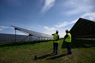 Des salariés d’EDF Renouvelables sur le parc photovoltaïque de Manosque.
